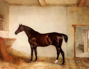 ベイハンター・イン・ア・ルーズボックスの馬 ジョン・ファーニーリー・シニア Oil Paintings